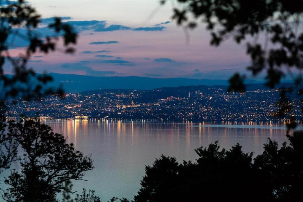 Le Garden - Ski - Vue Lac - Piscine - Parking - Evian - Thonon - Lugrin Bagian luar foto